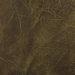 Vinyl / Kunstleder Forest