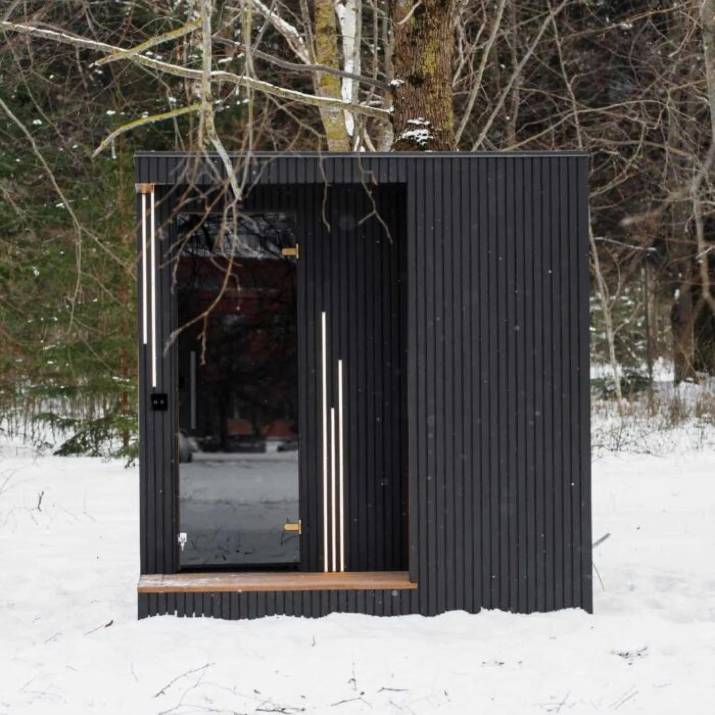 Sauna EBON 230×325 Detailansicht 1